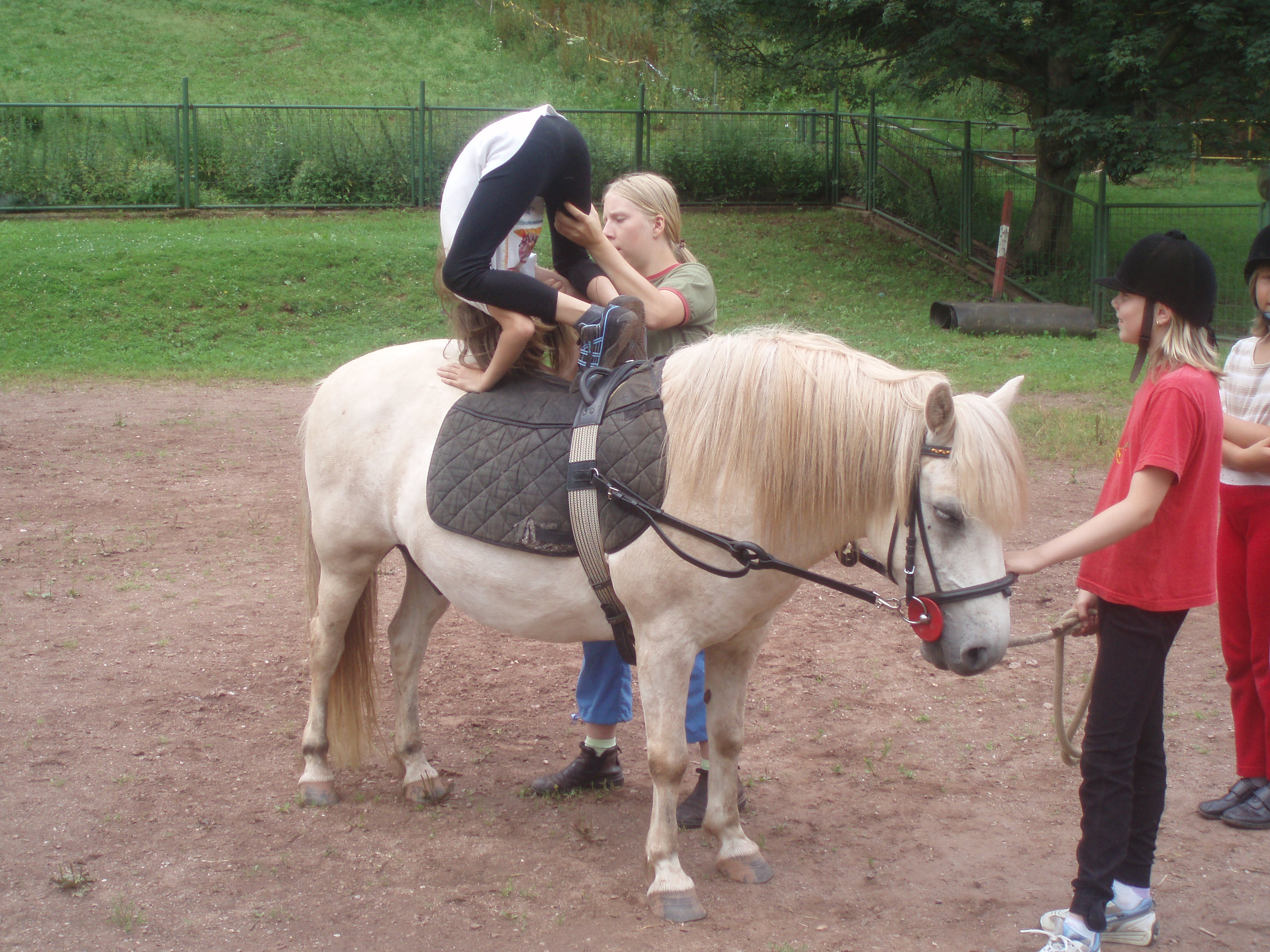 Kopie - Tábor Vlčice 2007 085.jpg