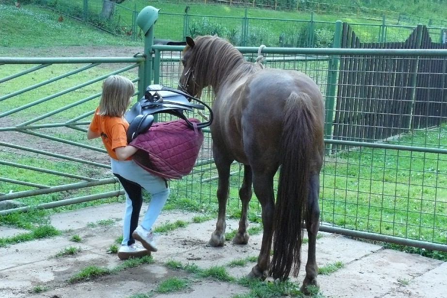 tabor1--2010-028.