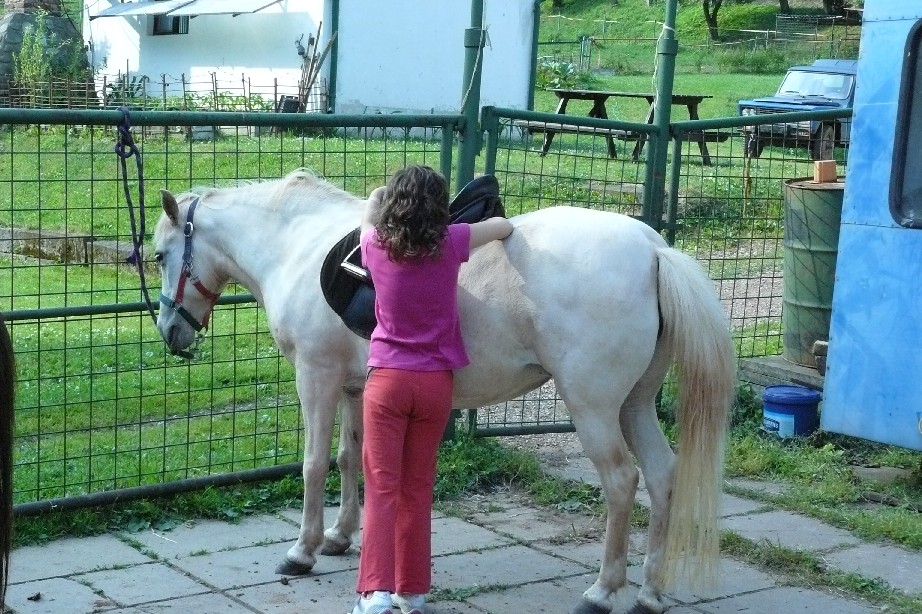tabor1--2010-030.