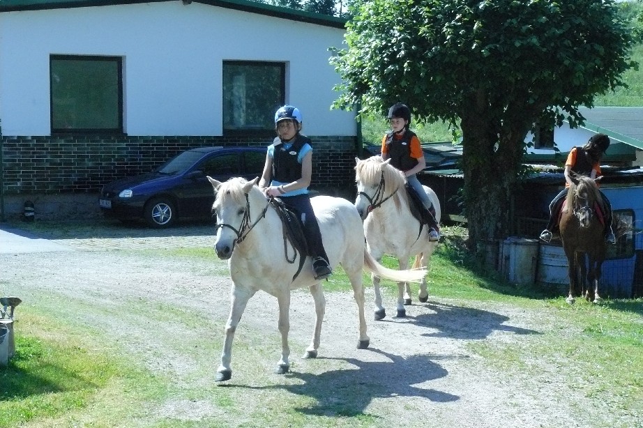 tabor1--2010-046.