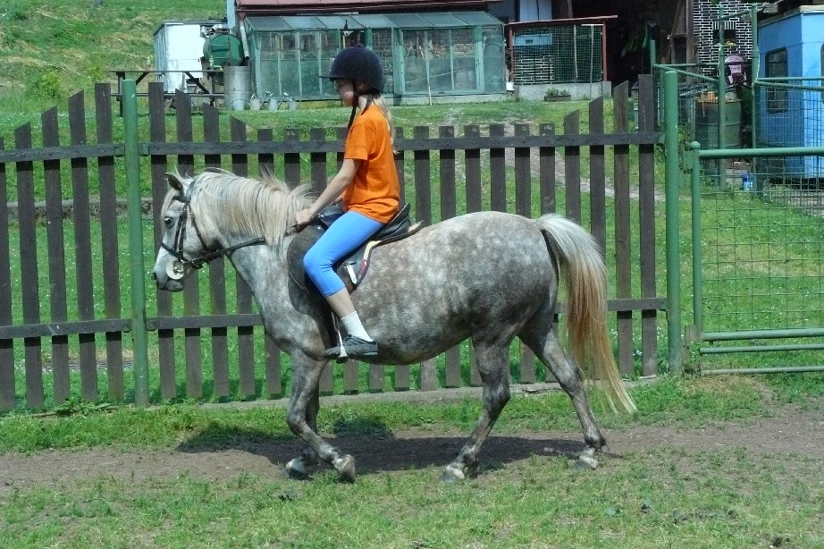 tabor1--2010-082.