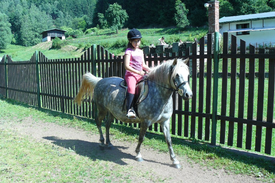 tabor1--2010-101.