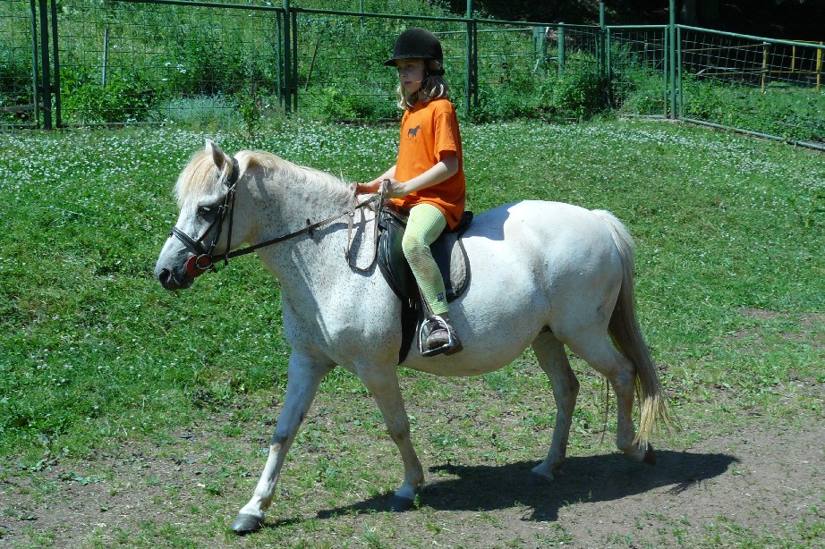 tabor1--2010-121.