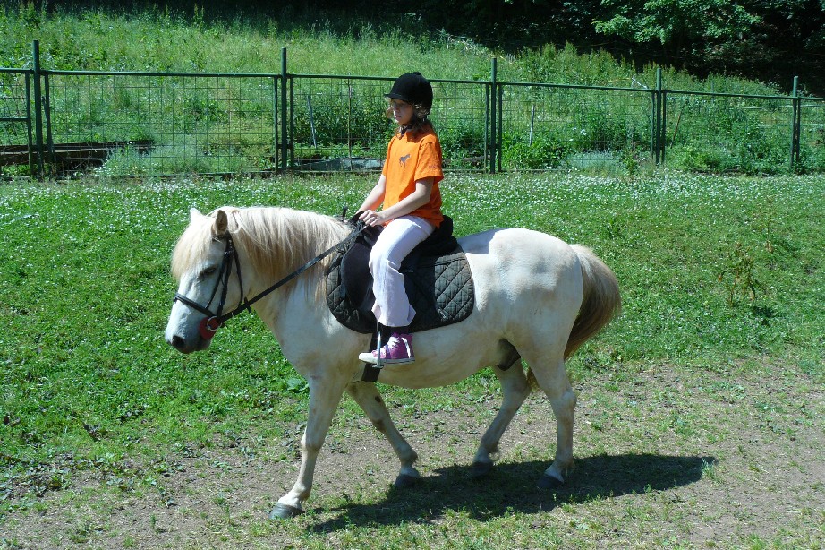 tabor1--2010-123.
