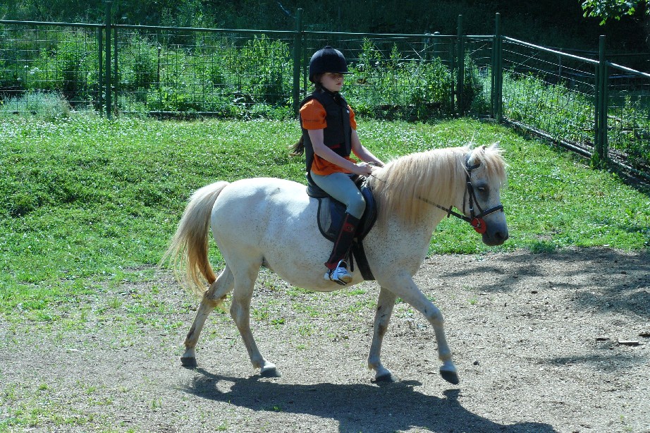 tabor1--2010-152.