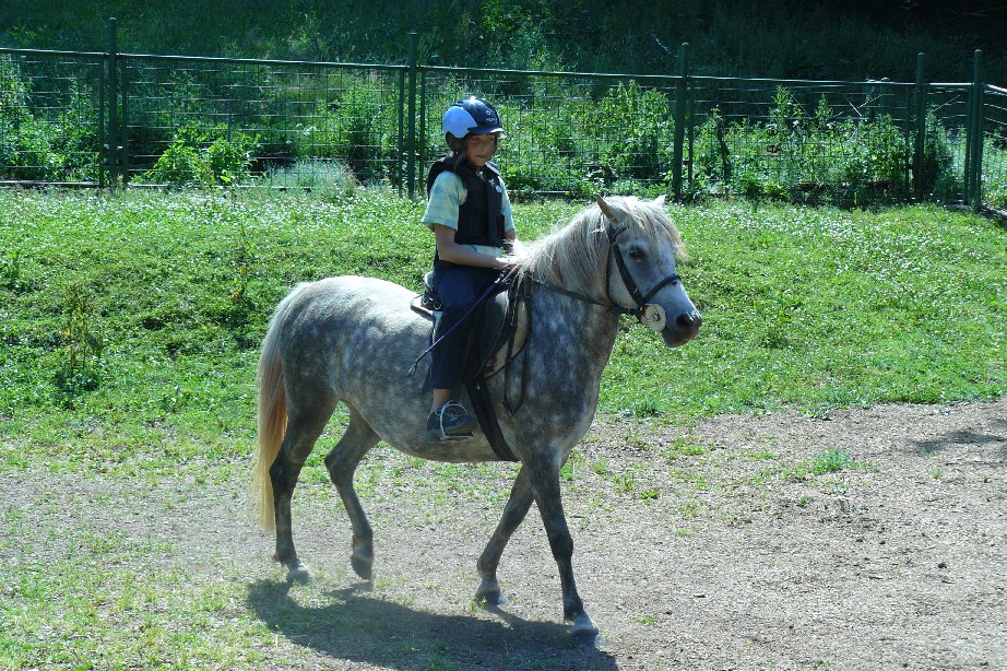 tabor1--2010-154.