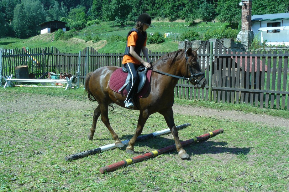tabor1--2010-160.