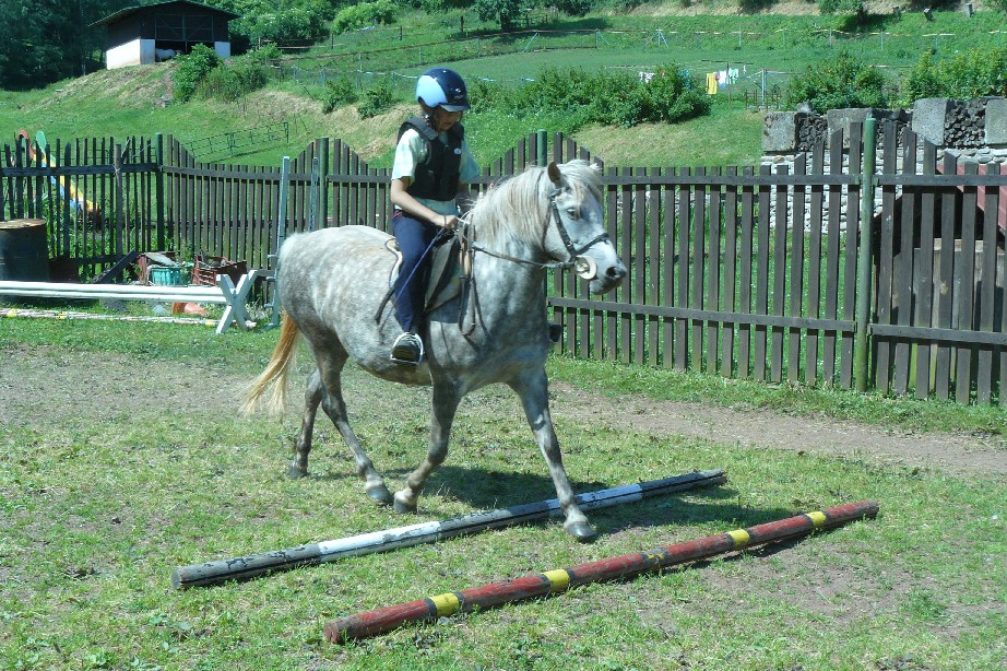 tabor1--2010-163.